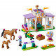 Конструктор LEGO Friends Тренування коня 134 деталей (41746)