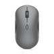 Мишка Lenovo 700 Multi-Device Wireless Luna Grey (GY51S61898)