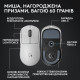 Мишка Logitech G Pro X Superlight 2 Lightspeed Wireless White (910-006638)