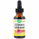 Трави Nature's Way Ехінацея і Гідрастіс, Echinacea Goldenseal, без спирту, 30 м (NWY-14663)