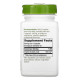 Трави Nature's Way Корінь Лопуха, Burdock Root, 475, 100 капсул (NWY11200)