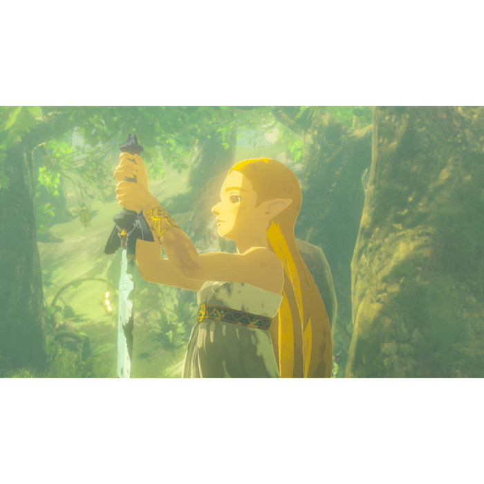 Гра Nintendo Legend of Zelda Breath of the Wild, картридж (Switch 2) (0045496312664)
