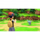 Гра Nintendo Switch Pokemon Brilliant Diamond (45496428051)