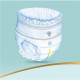 Підгузок Pampers Premium Care Pants Maxi Розмір 4 (9-15 кг) 38 шт (8001090759832)