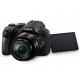 Цифровий фотоапарат Panasonic DMC-FZ300 (DMC-FZ300EEK)