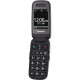 Мобільний телефон Panasonic KX-TU446 Red (KX-TU446EXR)