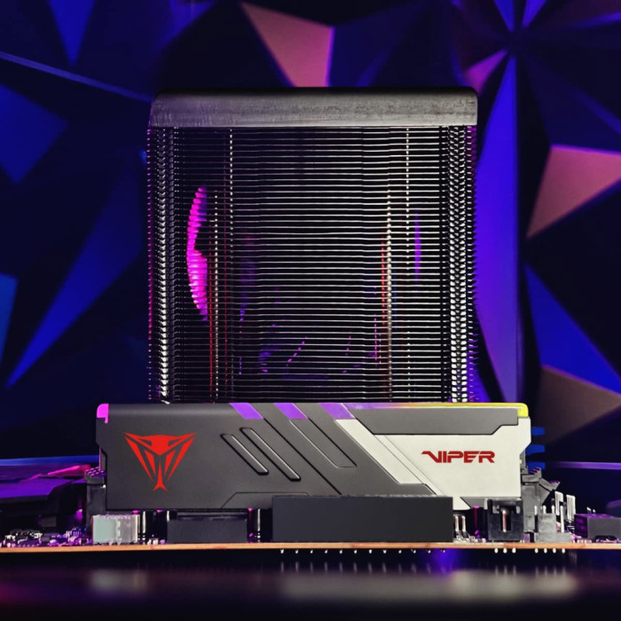 Модуль пам'яті для комп'ютера DDR5 64GB (2x32GB) 6000 MHz Viper Venom RGB Patriot (PVVR564G600C36K)