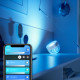 Настільна лампа Philips Hue Iris, Color, BT, DIM, срібляста (929002376701)