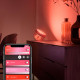 Настільна лампа Philips Hue Iris, Color, BT, DIM, мідна (929002376801)