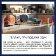 Навушники Philips TAK2000CT/00 USB-C/3,5 мм Blue/Green (TAK2000CT/00)