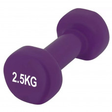 Гантель PowerPlay 4125 Achilles 2.5 кг Фіолетова (PP_4125_2.5kg)