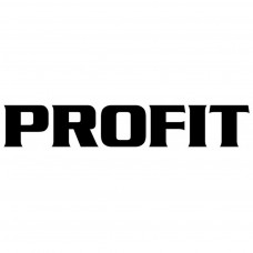 Повітряний фільтр для автомобіля Profit 1542-0026