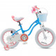Дитячий велосипед Royal Baby Star Girl 16