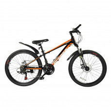 Дитячий велосипед Royal Baby Fema MTB 1.0 24