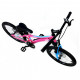 Дитячий велосипед RoyalBaby Chipmunk Explorer 20