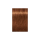 Фарба для волосся Schwarzkopf Professional Igora Royal Dusted Rouge 7-764 60 мл (4045787405149)