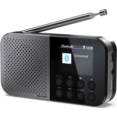 Портативний радіоприймач Sharp DR-P520 Grey (DR-P520GY)