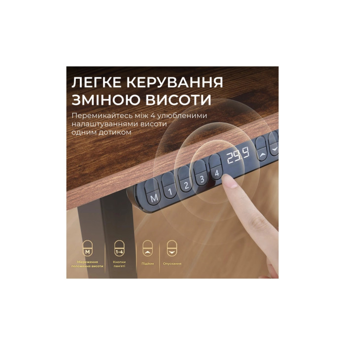 Комп'ютерний стіл Sihoo D03 Walnut/Black (D03-104/D03-108)