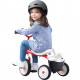 Дитячий велосипед Smoby Рокі металевий з багажником (742000)