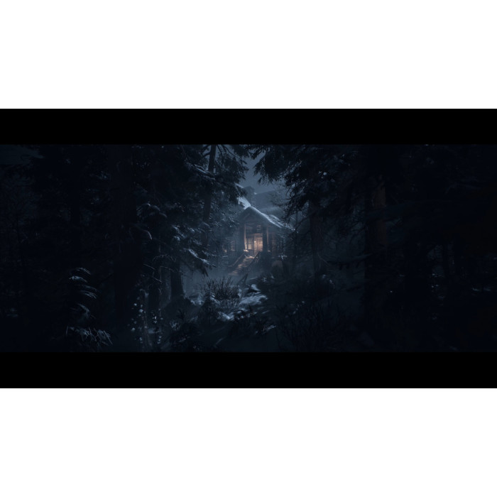 Гра Sony UNTIL DAWN, BD диск (1000044321)