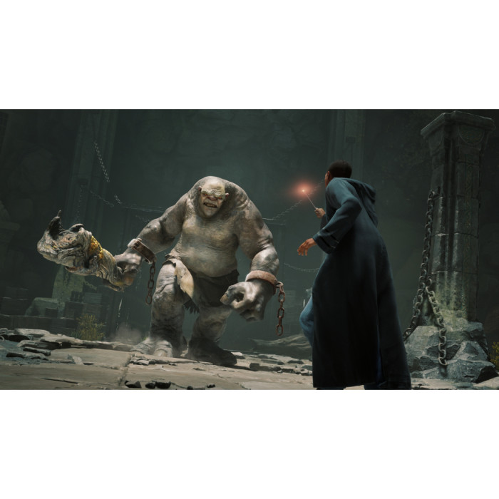 Гра Sony Hogwarts Legacy, BD диск (1194246)