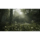 Гра Sony Metal Gear Solid Delta: Snake Eater Day 1 Edition, BD диск (4012927150856)