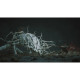Гра Sony Black Myth: Wukong, BD диск (5056635611864)