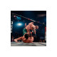 Гра Sony EA Sports UFC 5 , BD диск (5908305248255)