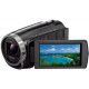 Цифрова відеокамера Sony Handycam HDR-CX625 Black (HDRCX625B.CEL)