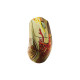 Мишка SteelSeries CS2 Dragon Lore Edition RGB Wireless/Bluetooth (62614)