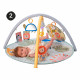 Дитячий килимок Taf Toys музичний з дугами - Пригоди на 360° (12785)