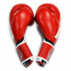 Боксерські рукавички Thor Shark 16oz Red (8019/02(PU) RED 16 oz.)