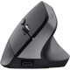 Мишка Trust Bayo+ Ergonomic Wireless/Bluetooth Black (25146)