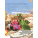 Книга Дракони. Велика книга - Алессандро Сісті Vivat (9789669428479)