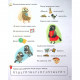 Книга Логопедична абетка - Валентина Рожнів Vivat (9789669821652)