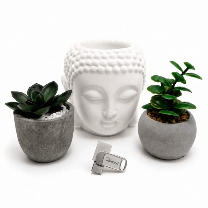 USB флеш накопичувач Wibrand 64GB Bee Silver USB 3.2/Type-C (WI3.2TC/BE64TC039S)