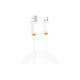 Дата кабель USB 2.0 AM to USB-C 1.0m 3A white XO (NB302-AC.white)