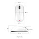 Мишка Zowie U2DW Wireless White (9H.N4PBE.A3E)